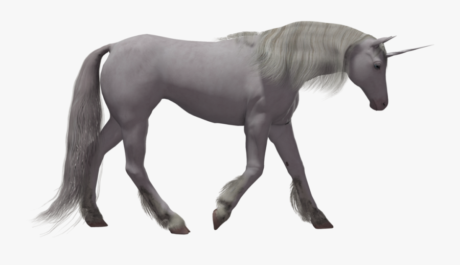 Best Free Unicorn Transparent Png Image - Portable Network Graphics, Transparent Clipart
