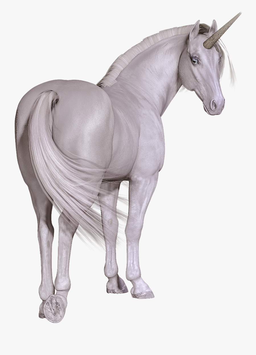 Clip Art Horse And Unicorn - Unicorn, Transparent Clipart