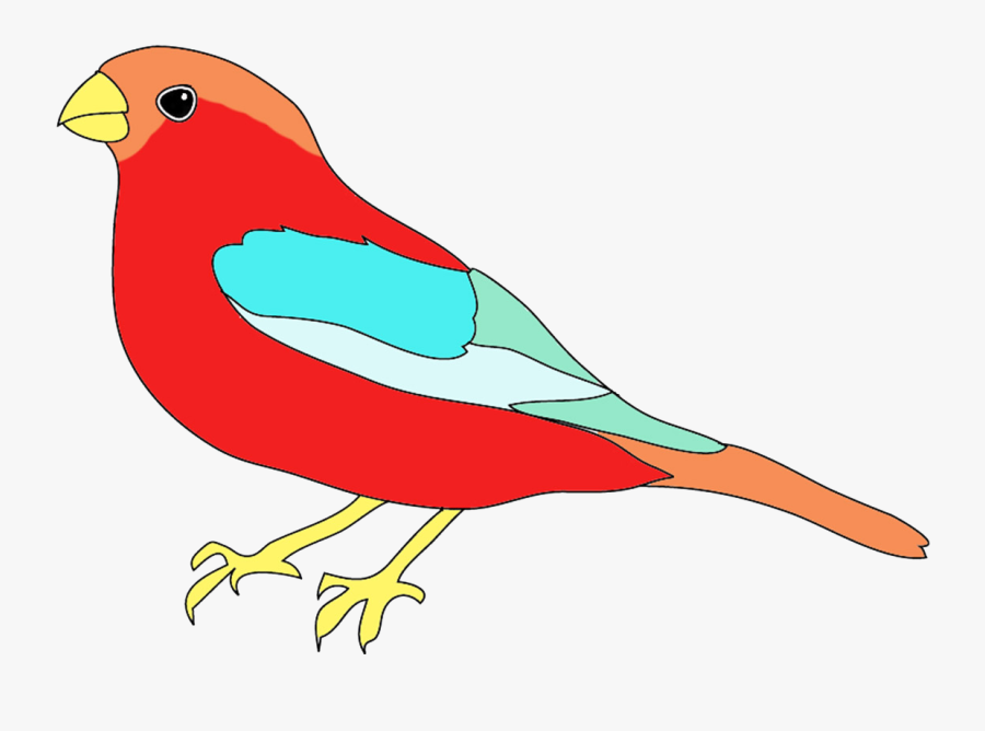 Banner Free Stock Bird For Drawing At Getdrawings - Bird Drawing With Colour, Transparent Clipart