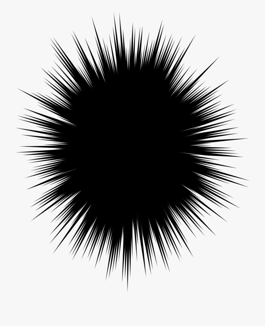 Transparent Sea Urchin Clipart - Sea Urchin, Transparent Clipart