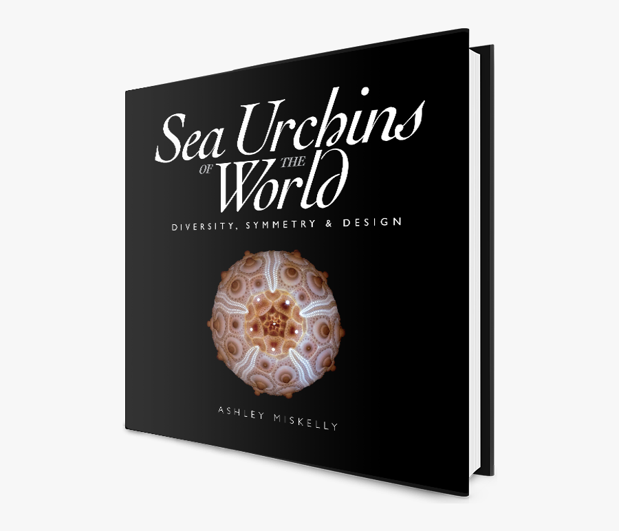 Sea Urchins Of The World Book - Poster, Transparent Clipart