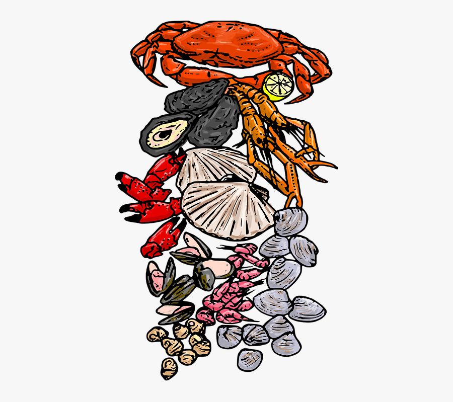 Shellfish, Gourmet, Seafood, Food, Restaurant, Sea, Transparent Clipart