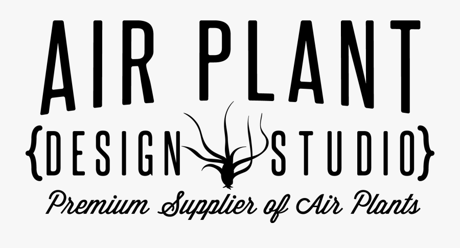 Calligraphy, Transparent Clipart
