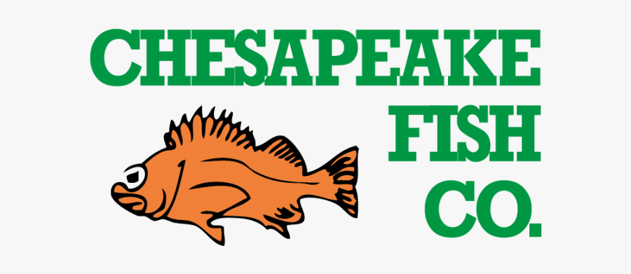 Kiwi Experience, Transparent Clipart