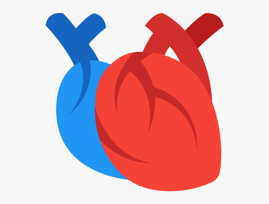 A Startup Is Looking For Participants With Any Stage, Transparent Clipart