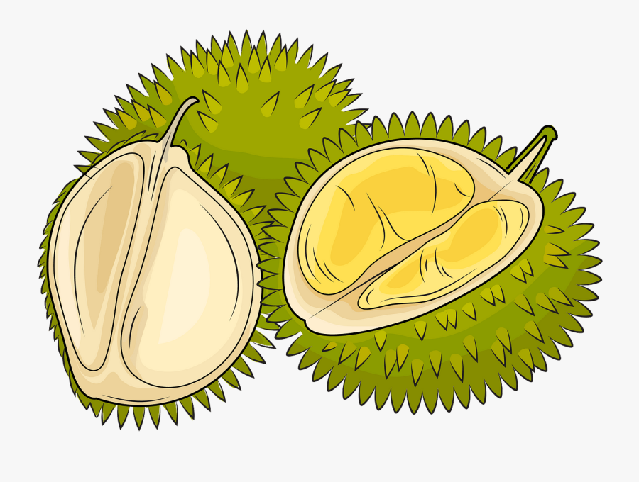 Silueta Piñon, Transparent Clipart