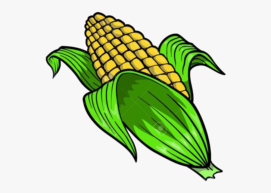 Corn Hd Clip Art Pictures Vector Graphics Clipart Transparent - Corn Clipart, Transparent Clipart