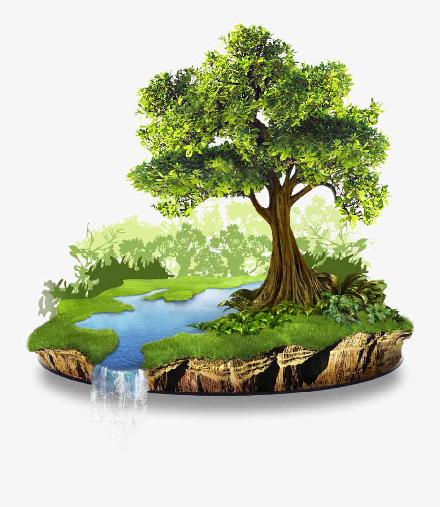 Essay Natural Resources Wikipedia - Natural Environment, Transparent Clipart