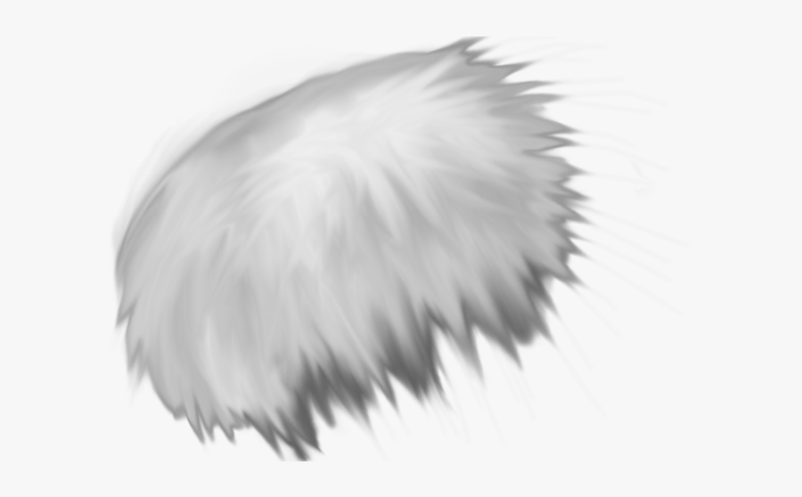 Clip Art Feather Texture - Fur Png, Transparent Clipart
