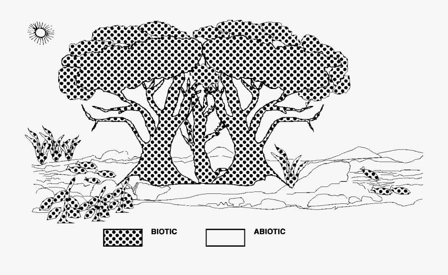 Line Art, Transparent Clipart