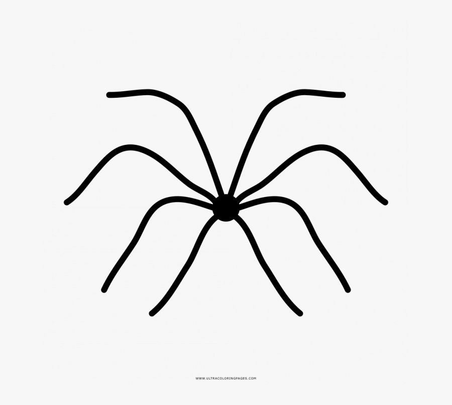 Insect, Transparent Clipart