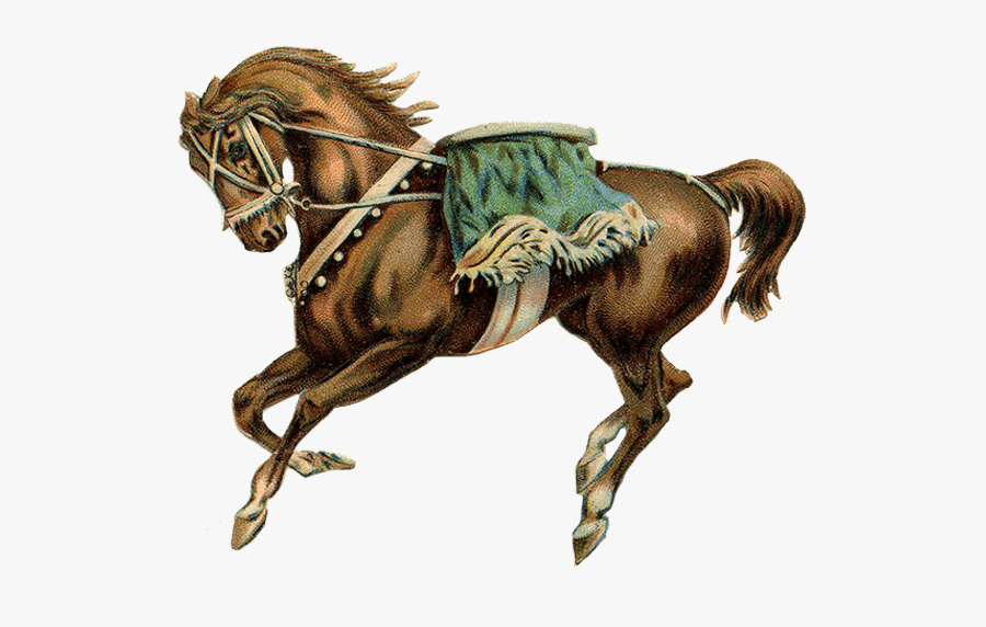 Circus Horse Green Saddle - Vintage Circus Poster Animals, Transparent Clipart