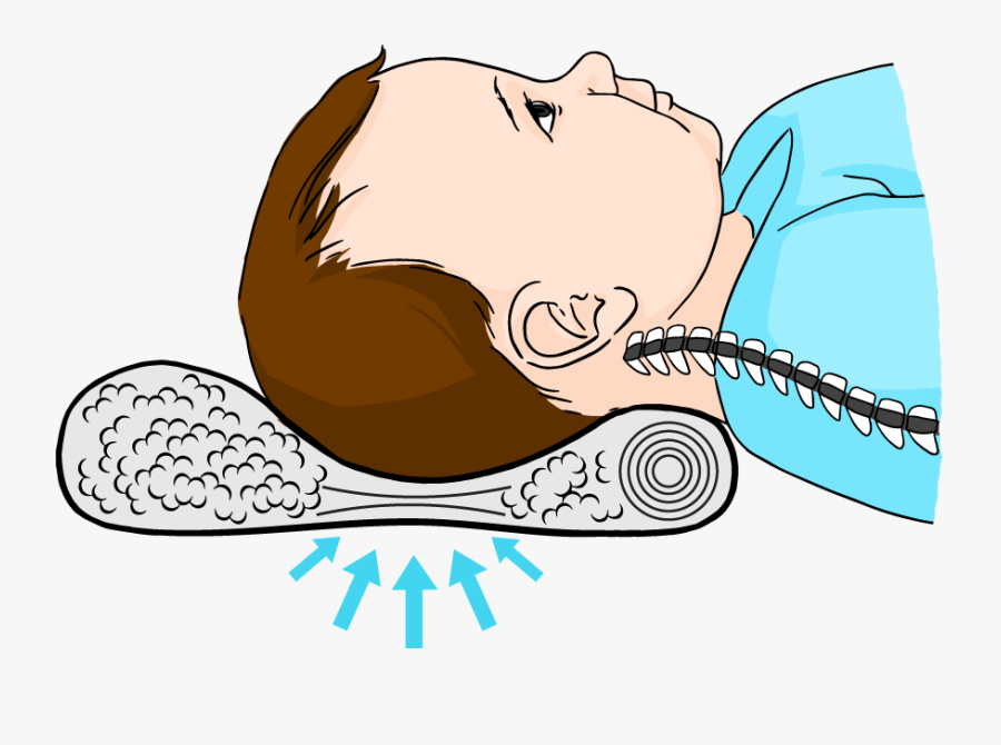 Head Care Orthopaedic Pillows - Poduszka Ortopedyczna Dla 2 5 Latka, Transparent Clipart