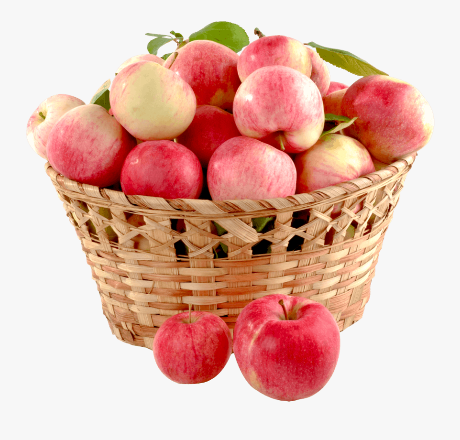 Transparent Apple Basket Clipart Collective Nouns Of Apples , Free