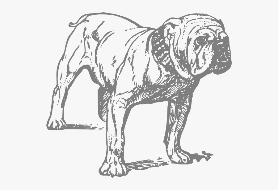 Bulldog Drawing Png, Transparent Clipart