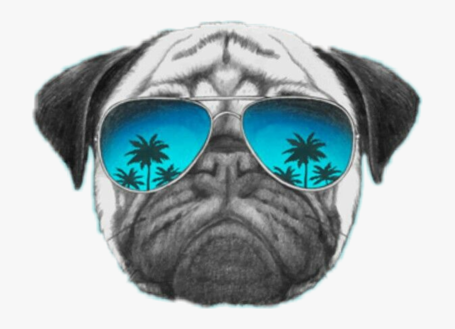 #cara #perro #lentesdesol #palmeras #gafas #bulldog - Pug Wearing Sunglasses Drawing, Transparent Clipart