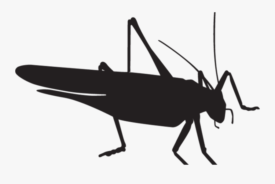 Transparent Free Praying Mantis Clipart - Grasshopper Silhouette Png, Transparent Clipart