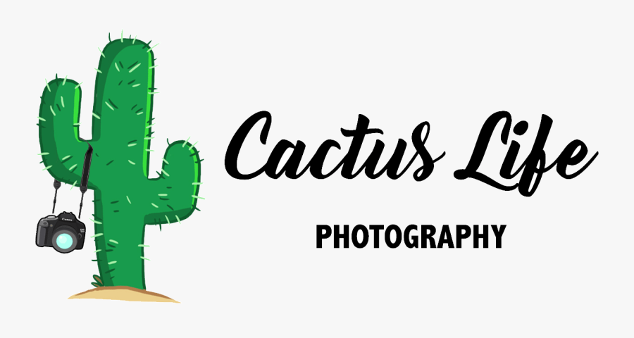 Crops Clipart Cornfield - Corel Photo Paint, Transparent Clipart