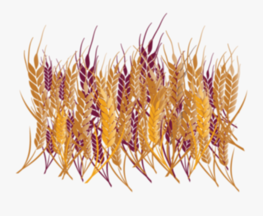 Home Ottawa Valley Farm - Thorns, Spines, And Prickles, Transparent Clipart