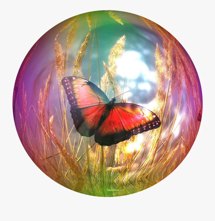 Butterfly In A Bubble, Transparent Clipart