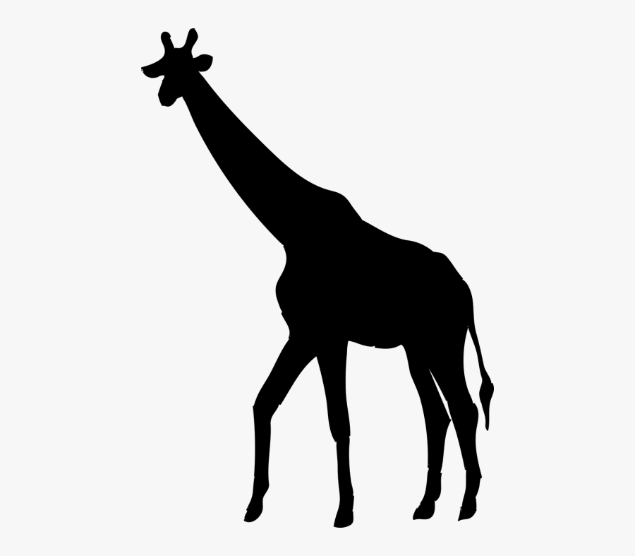Silueta De Una Jirafa, Transparent Clipart