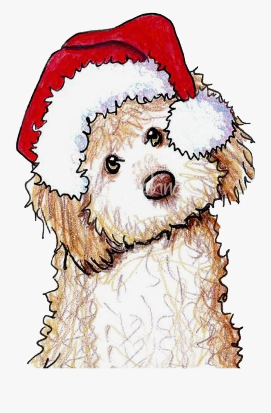 #christmasdog #dog #drawing #dogdrawing #santahat #dogsantahat - Drawings Of Golden Doodles, Transparent Clipart
