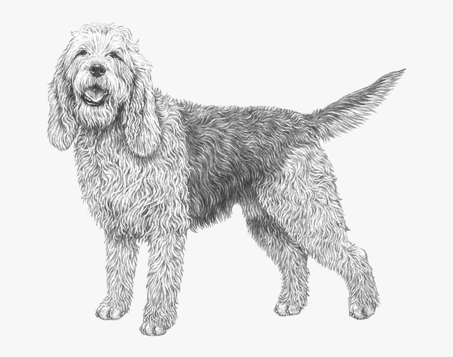 Otterhound Clip Art, Transparent Clipart