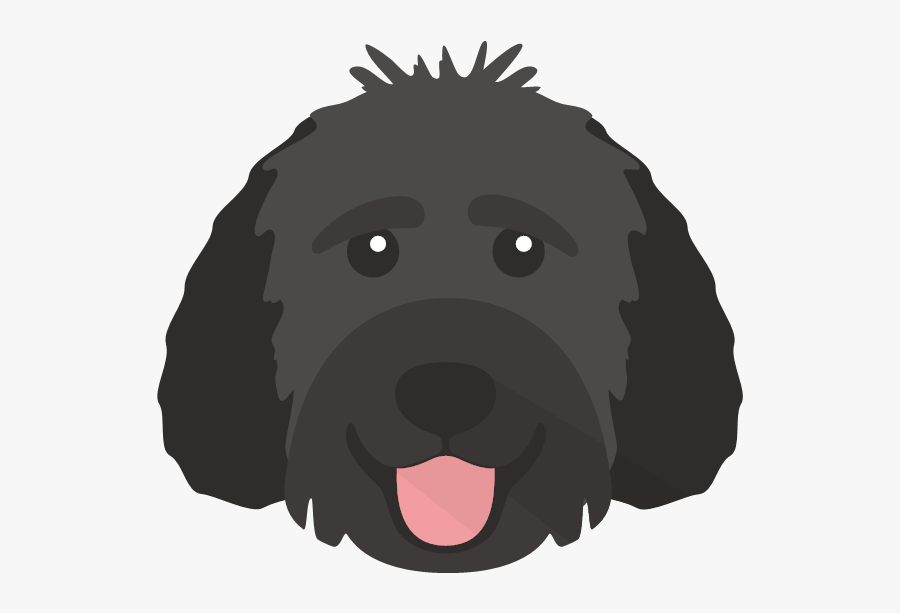 Goldendoodle Png, Transparent Clipart