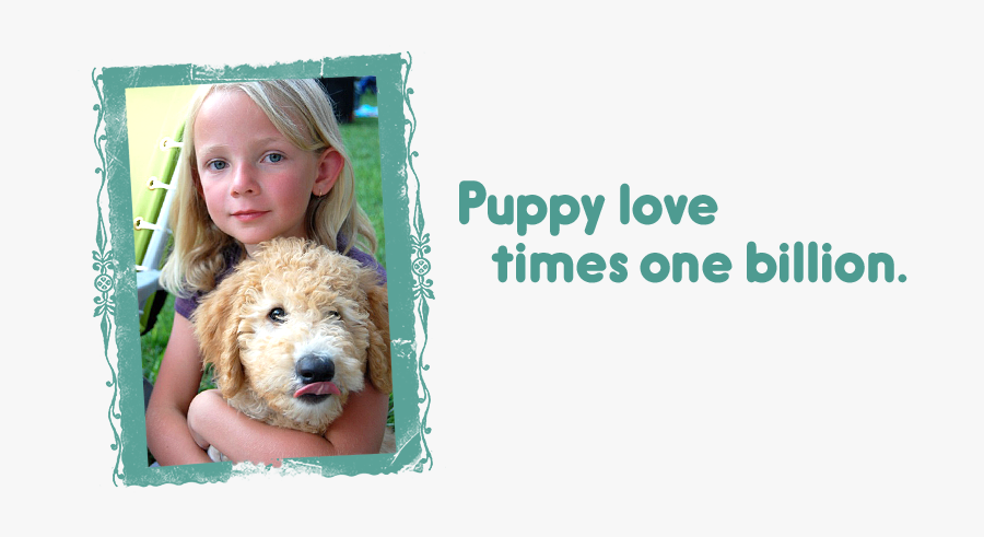 Puppy Love Times One Billion / Labradoodle Puppies - Labradoodle, Transparent Clipart