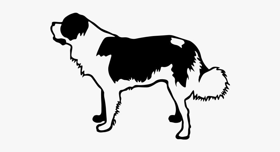 St - Bernard - Companion Dog, Transparent Clipart