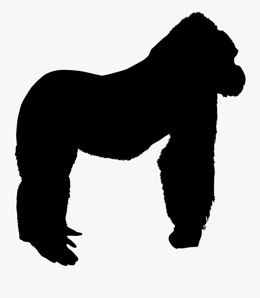 Mane, Transparent Clipart
