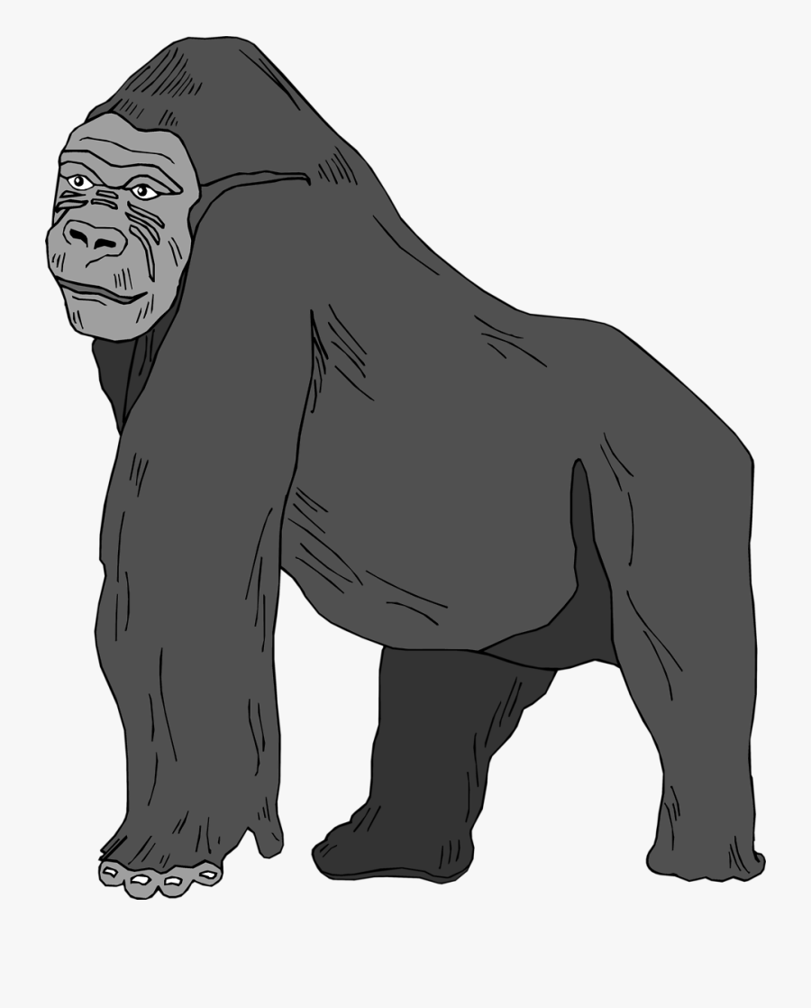 Gorilla Clipart No Background, Transparent Clipart