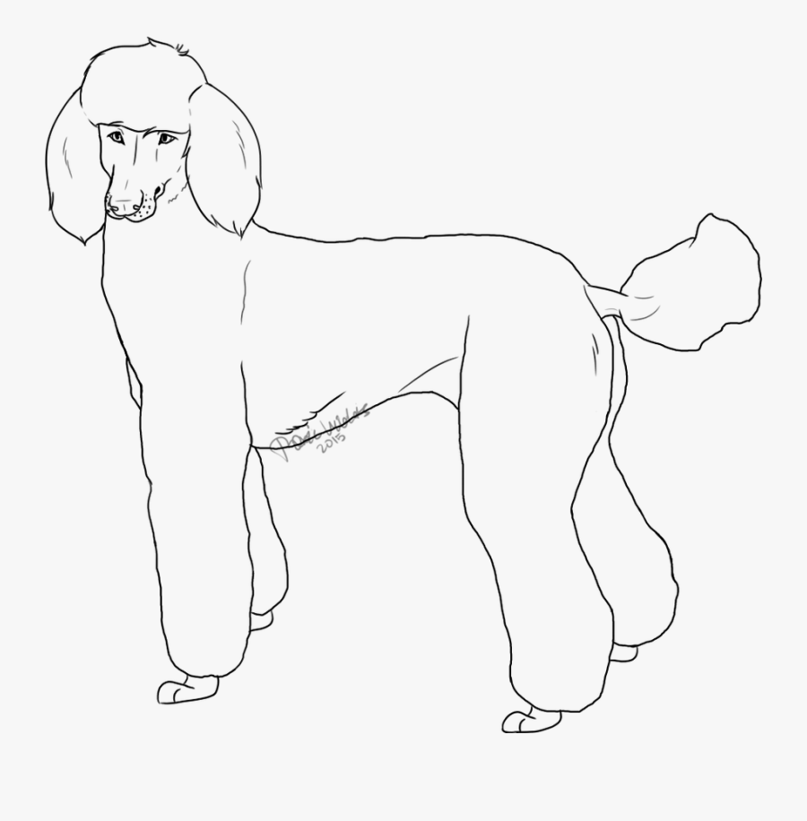 Standard Poodle Lines - Line Art, Transparent Clipart