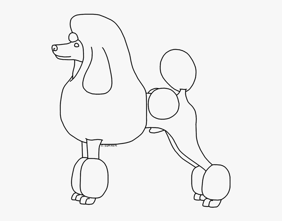 White Poodle Lineart - Standard Poodle, Transparent Clipart