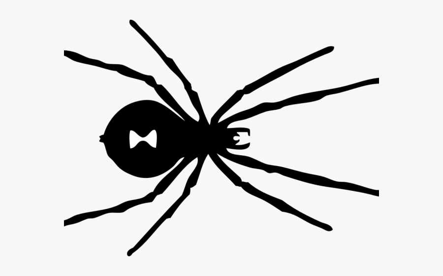 Black Widow Spider Drawing Easy, Transparent Clipart