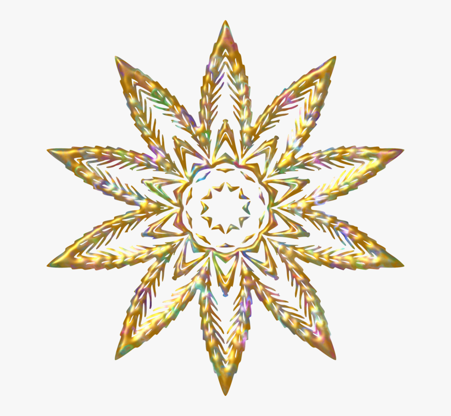 Plant,flower,leaf - Кристофер Пензак, Transparent Clipart