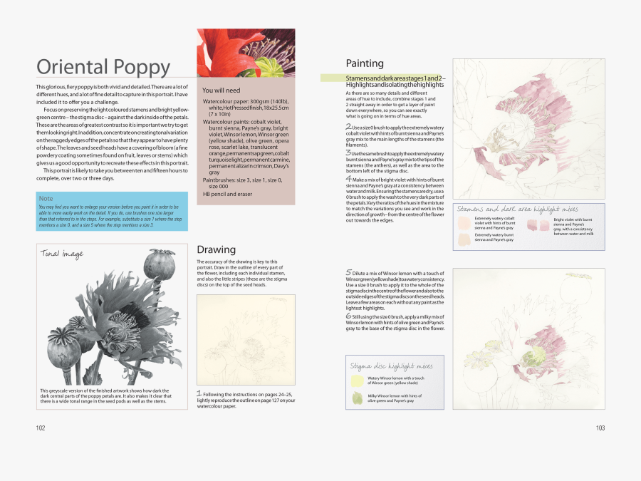 Transparent Sketchbook Clipart - Brochure, Transparent Clipart