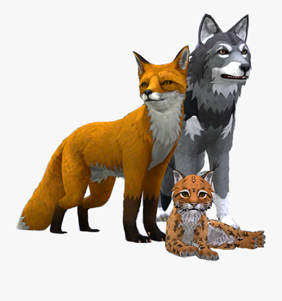 Wildcraft Fox Vs Wolf, Transparent Clipart