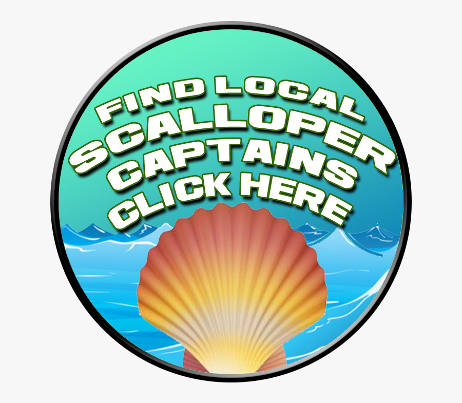 Picture - Circle, Transparent Clipart