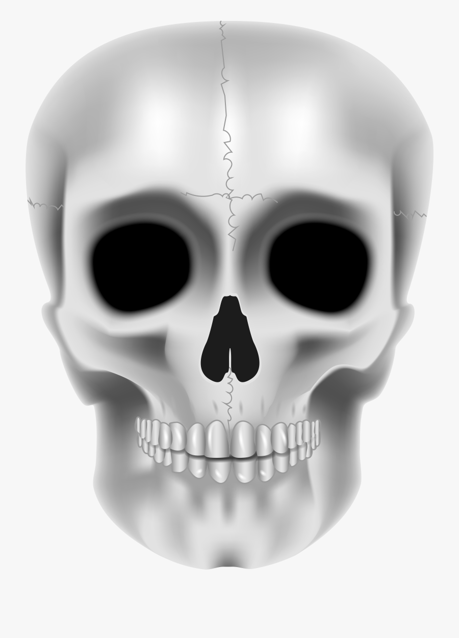 Transparent Realistic Skull Clipart - Skull, Transparent Clipart