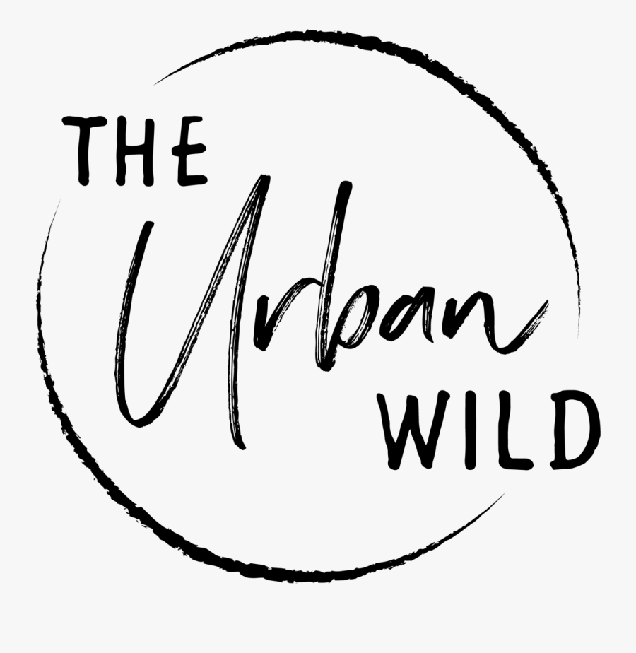 Clipart Black And White Drawing Instagram Urban - Calligraphy, Transparent Clipart