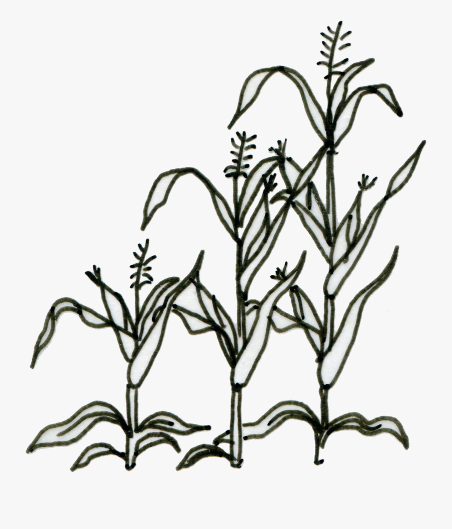 Impact Ambition Of Agrics - Illustration, Transparent Clipart