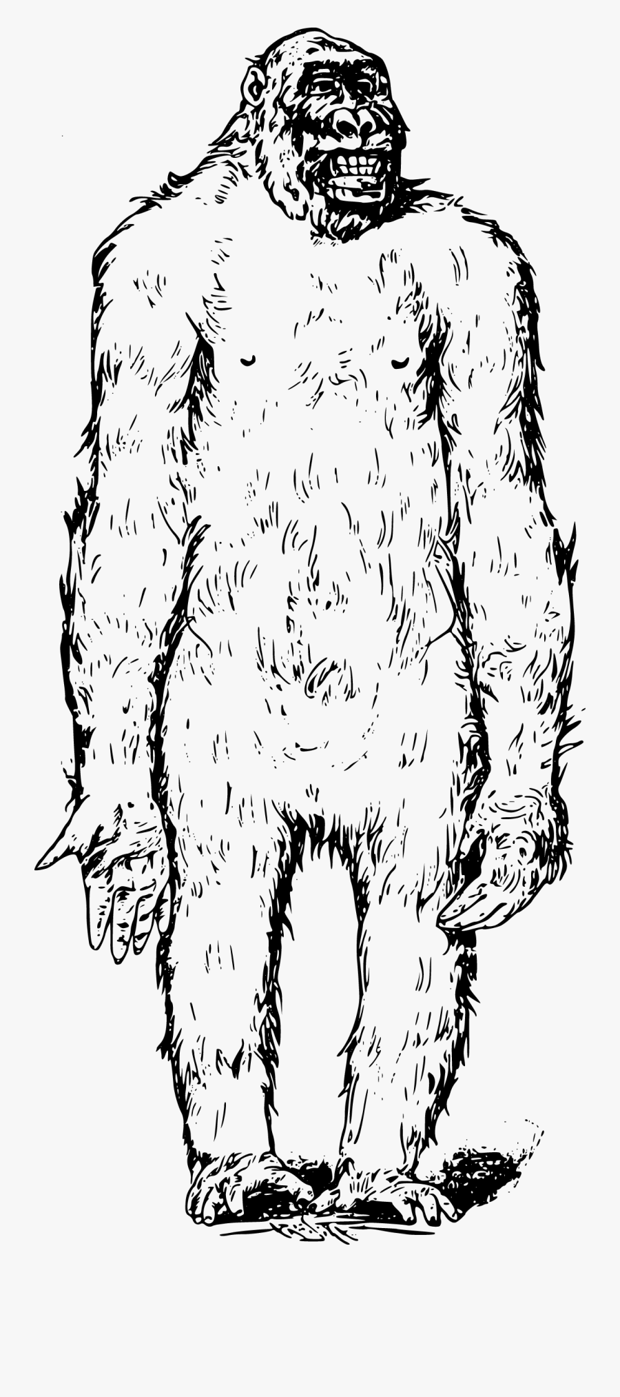 Bigfoot Clipart Vector - Portable Network Graphics, Transparent Clipart