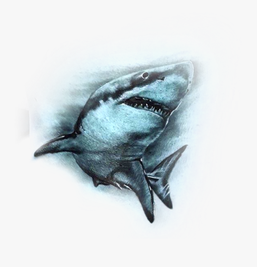 Great White Shark, Transparent Clipart