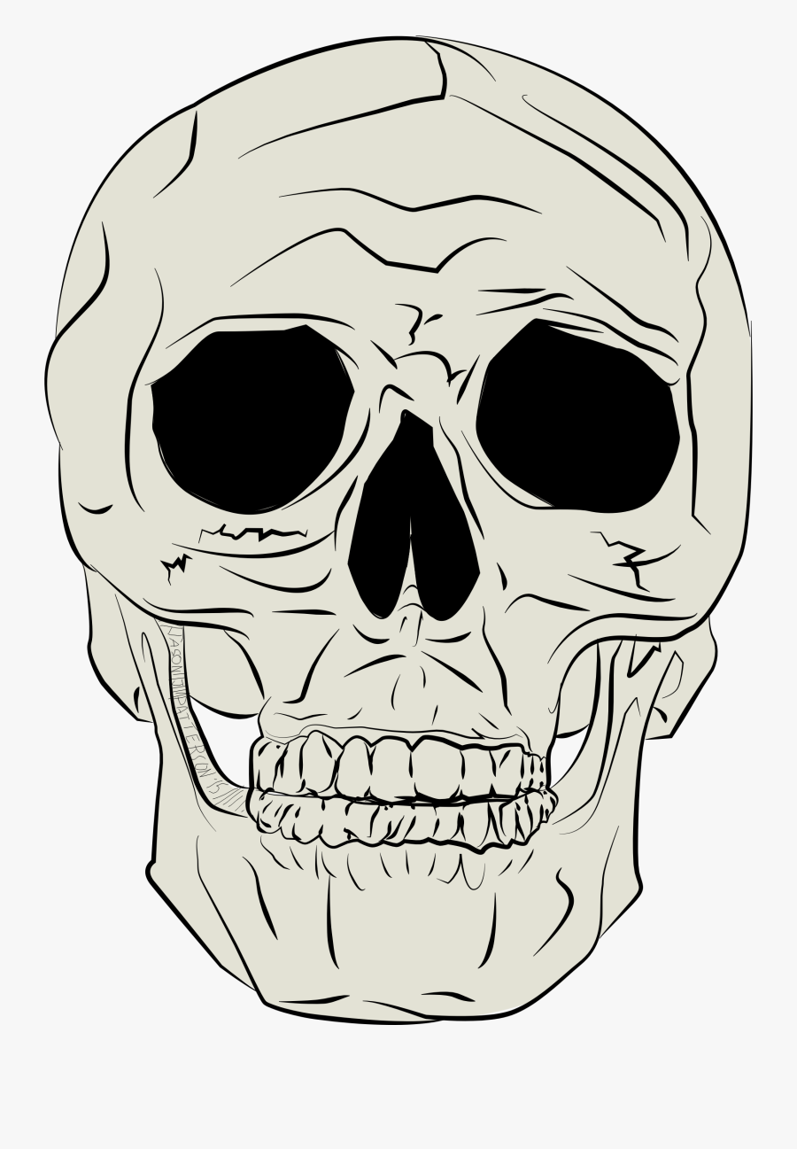 Human Skull By Jp - Gambar Tengkorak Manusia Vektor, Transparent Clipart