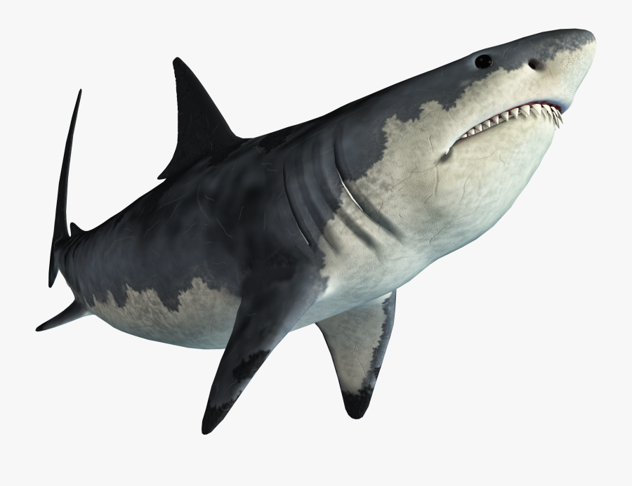 Shark Jaws Tadzio - Transparent Background Shark Png, Transparent Clipart