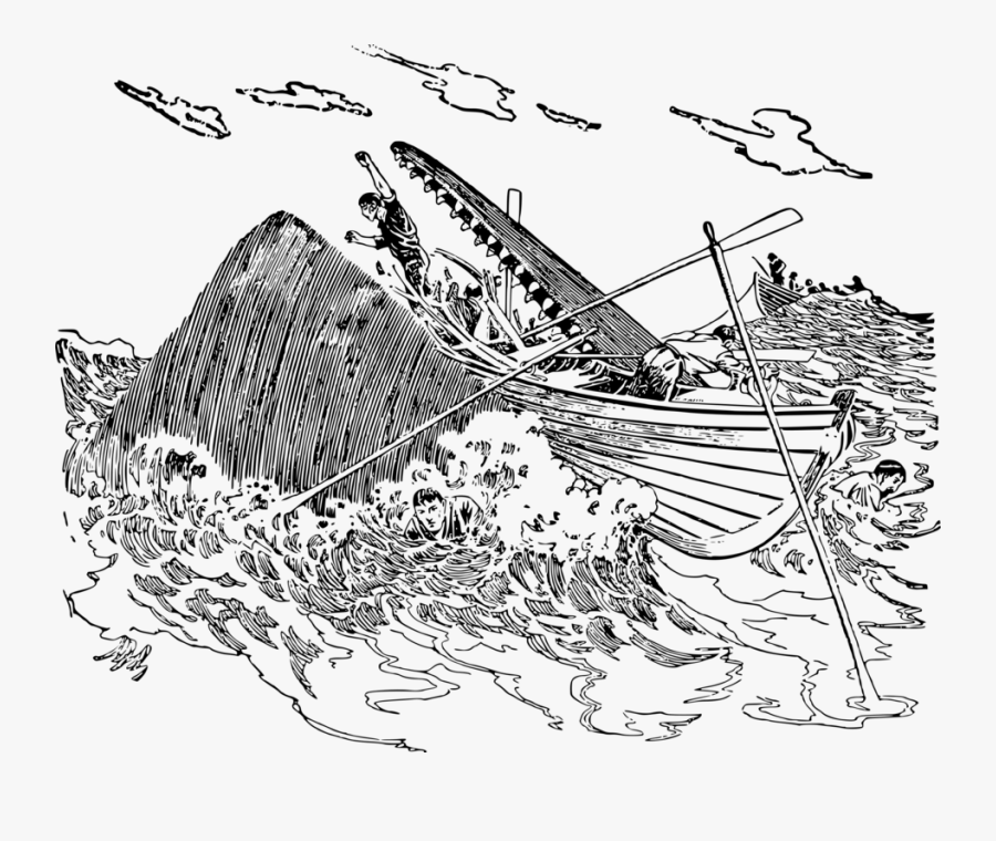 Whale Attack - Moby Dick Draw Png, Transparent Clipart