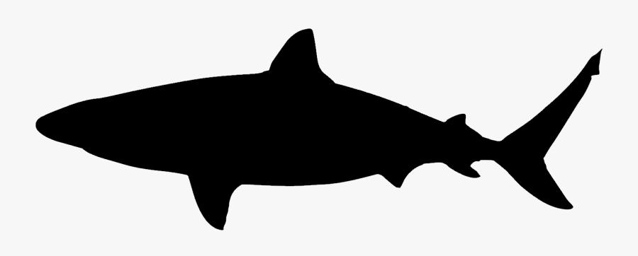 Shark Silhouette Png - Shark, Transparent Clipart