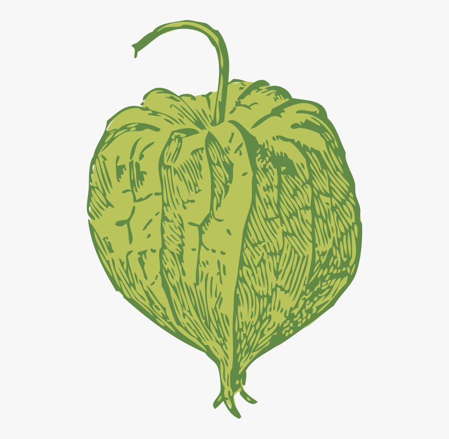 Tomatillo Clipart, Transparent Clipart