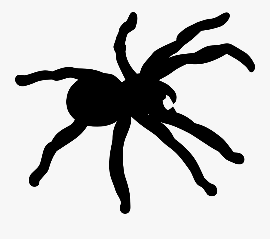 Tarantula Png - Spider Clipart, Transparent Clipart